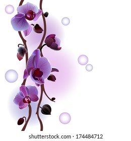 Vector seamless background with gentle orchids branches