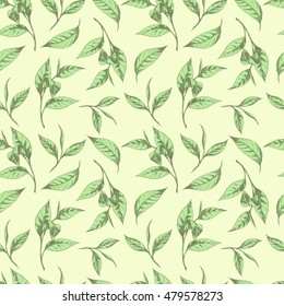 Vector seamless background with green tea leaves. Hand drawn botanical illustration in vintage style for print, fabric, wrapping, web page and other seamless design.