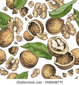 Vector seamless background with hand-drawn walnut sketches. Fruits, leaves, shells in a beautiful design. Vintage style engraving. An endless pattern on a white backdrop. Color illustration