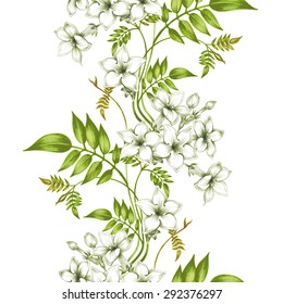 Vector seamless background. Jasmine flowers.Design for fabrics, textiles, paper, wallpaper, web. Vintage. Floral ornament.