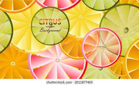 Vector seamless background with many citrus fruits. Oranges, lemons, grapefruits and limes