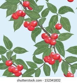Vector seamless background with ripe red cherries