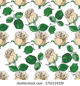 vector seamless background of rose flowers on a white and colored background, isolated images, Doodle, hand drawing