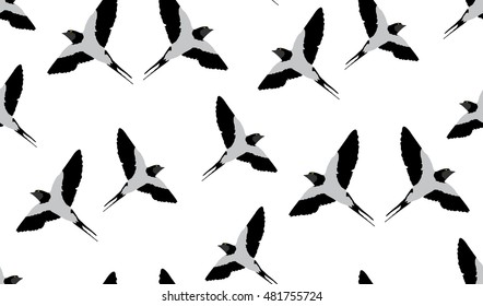 Vector seamless background of swallow. The texture of the swallows is located by chance