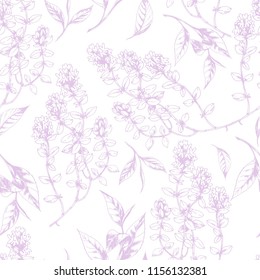 Vector seamless background  with tea leaves and Thyme herbs. Herbal natural aromatherapy drink for health.Botanical hand drawn illustration for print, wrapping, paper and other seamless design.