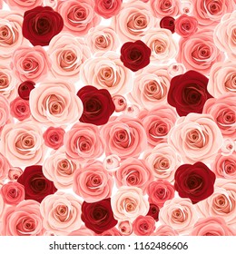 Vector seamless background texture with pink and burgundy roses.