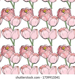 fondo vectorial sin fisuras de Tulip flores sobre fondo blanco y de color, imágenes aisladas, Doodle, dibujo a mano