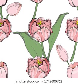  fondo vectorial transparente Tulip flores sobre fondo blanco, imágenes aisladas, Doodle, dibujo a mano