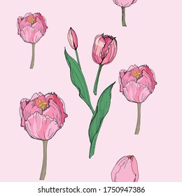 vector seamless background of Tulip flowers on pink background, isolated images, Doodle, hand drawing