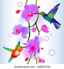 Vector seamless background with two rainbow hummingbirds flitting around gentle branch of beautiful pink orchids