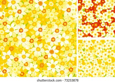 Vector seamless backgrounds with white, yellow daffodils and red, yellow primulas.