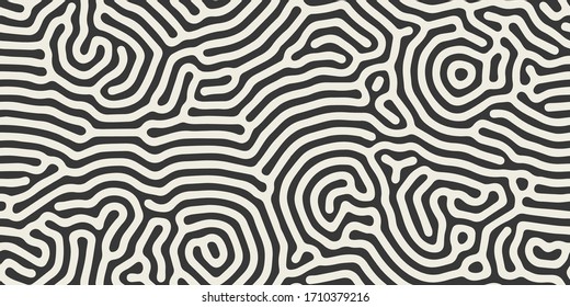 Vector seamless black and white organic lines pattern. Abstract minimalistic maze background