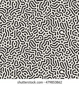 Vector Seamless Black and White Organic Lines Pattern. Abstract Freehand Background Design