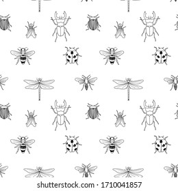 Vector seamless black and white pattern of different hand drawn doodle isolated insects