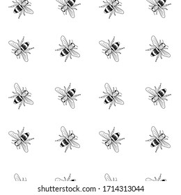 Vector seamless black and white pattern of hand drawn doodle isolated bees