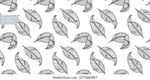 Vector seamless black and white pattern with feathers for textiles, wrapping paper, covers, backgrounds