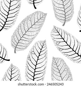 Vector seamless black and white pattern with  lace walnut leaves on white background