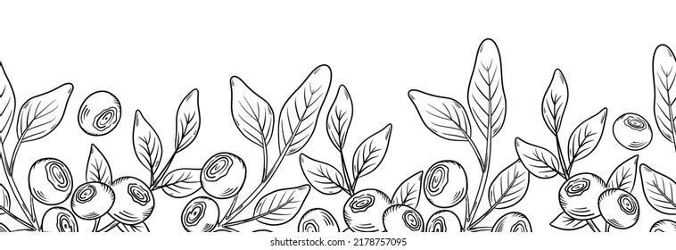 Vector seamless border with blueberries. Blueberry berries with twigs of leaves in a hand-drawn style. Botanical illustration with berries, black line sketch