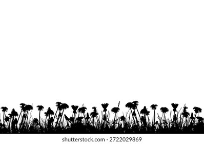 Vector borde inconsútil de las plantas del diente de león (Taraxacum) en la hierba aislada en el fondo blanco