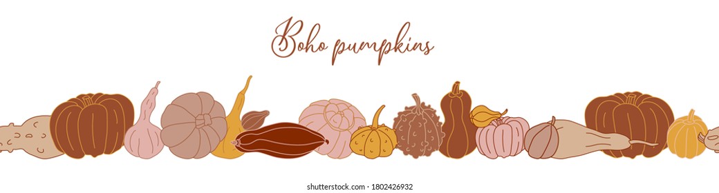 Vector seamless border with different varieties of pumpkins in boho color style. Autumn and crop theme.