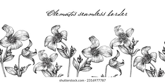 Vector seamless border flowers of clematis Hand drawn elements Illustration for design package, menu