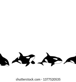Vector seamless border of graphical killer whale swimming on white background