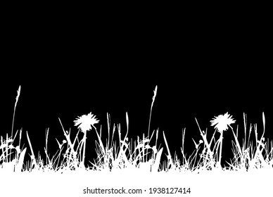 vector seamless border with grass and dandelion plants isolated on black background