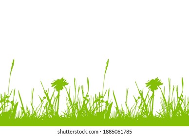 vector seamless border with grass and meadow flowers isolated on white background