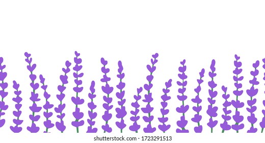 Borde transparente de lavanda. Diseño floral claro, aislado en fondo blanco