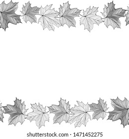 Vector seamless border with maple leaves. White and black. Autumn frame for fashion, greetings, background for save the dates. Monochrome. Vintage.