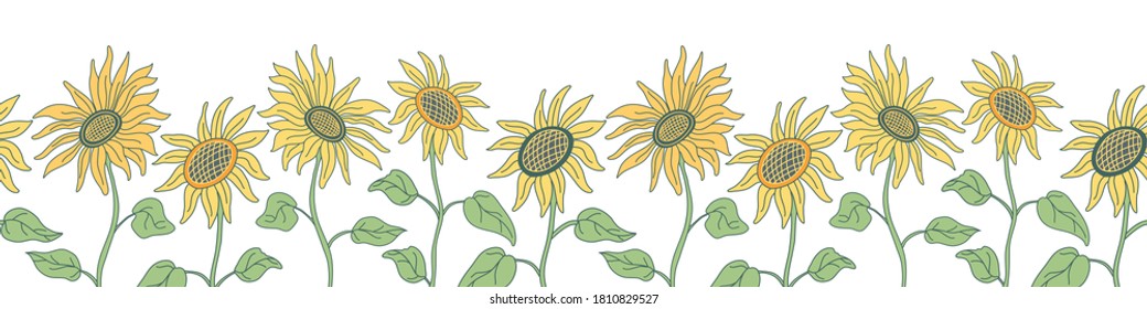 Borde transparente vectorial con simpáticos girasoles en tallos largos. Ilustración vectorial dibujada a mano en estilo plano con líneas sobre fondo blanco. Colores verdes y amarillos.