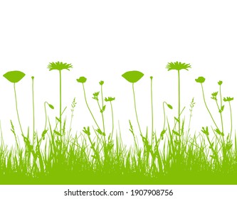 vector seamless border with oxeye daisy, corn poppy and meadow vetchling in grass isolated on white background