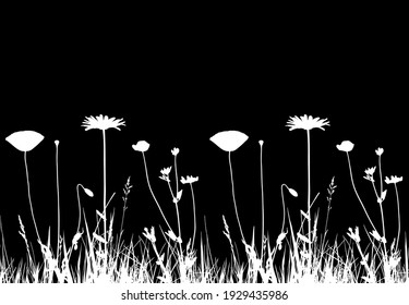 vector seamless border with oxeye daisy, corn poppy and meadow vetchling in grass isolated on black background