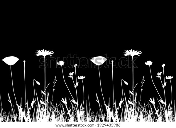 vector seamless\
border with oxeye daisy, corn poppy and meadow vetchling in grass\
isolated on black\
background