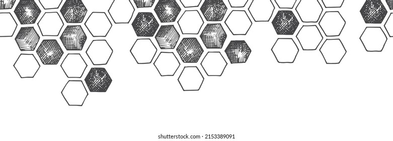 vector seamless border, pattern, banner with honeycombs. vintage print graphics