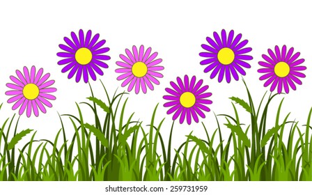 vector seamless border with pink daisies in grass isolated on white background