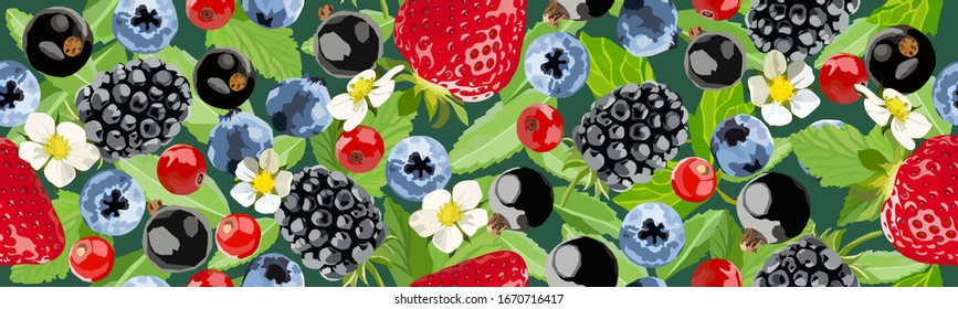 Vector seamless border with various berries