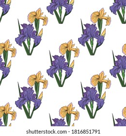 Vector seamless botanical vector pattern with iris flowers, buds and leaves