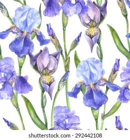 Vector seamless botanical watercolor pattern with iris flowers, buds and leaves