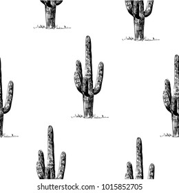 Vector seamless cactus pattern.Vintage hand drawn illustrations with cactus. 