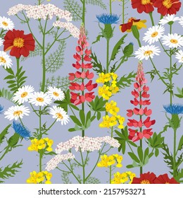 Ilustración de color sin fisuras vectorial con flores silvestres sobre un fondo azul. Para decorar textiles, embalajes, diseño web.