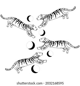 Vector seamless design of tiger contours with elements of the moon. Wildlife. Black outline on white background. Design for fabric, packaging, posters, textiles, wallpaper, posters, prints.
