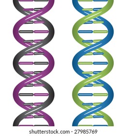 vector seamless DNA