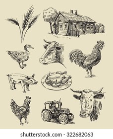 vector seamless farm and animals hand drawn set