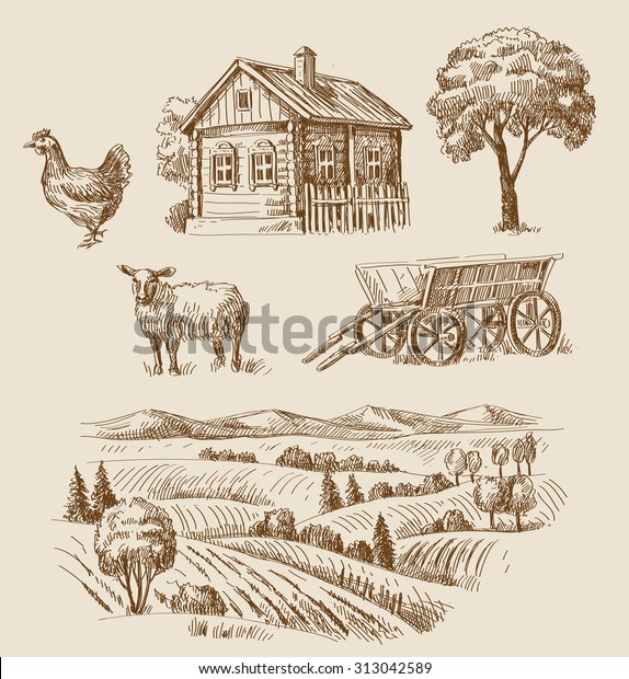 Vector Seamless Farm Animals Hand Drawn Stock Vector (Royalty Free ...