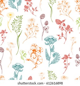 Vector seamless floral background with colored aroma and medical green herbs on white. Ink drawn botanical illustration for fabric, wrapping, prints and other design. Background with wild meadow herbs