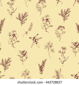 Vector seamless floral background with herbs and spices . Brown on yellow. Hand drawn illustration for fabric, wrapping, prints and other herbal design in vintage style.