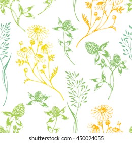Vector seamless floral background with wild herbs and flowers on white. Hand drawn botanical herbal illustration in sketch style. For print, fabric, wallpaper, wrapping and other seamless design.