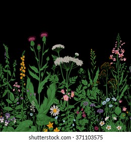 Vector seamless floral border. Herbs and wild flowers. Botanical Illustration engraving style. Colorful