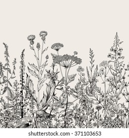 Vector seamless floral border. Herbs and wild flowers. Botanical Illustration engraving style. Black and white - Shutterstock ID 371103653